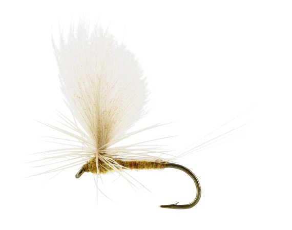 Sulphurea Dun Ginger TMC100 #12 in der Gruppe Köder / Fliegen / Trockenfliegen bei Sportfiskeprylar.se (FL32165)