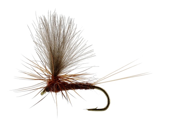 Vespertina Dun Brown TMC100 in der Gruppe Angelmethoden / Fliegenfischen / Fliegen / Trockenfliegen bei Sportfiskeprylar.se (FL32170r)