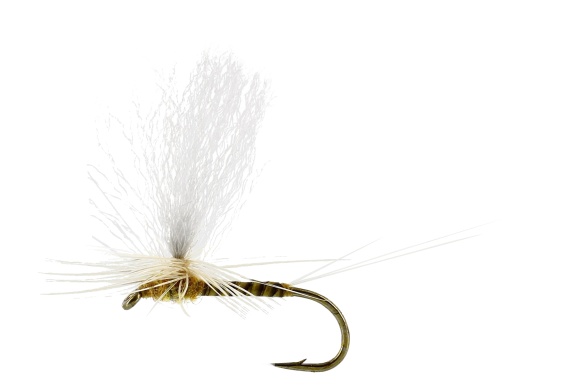 Sulphurea Dun Quill Yellow TMC100 in der Gruppe Angelmethoden / Fliegenfischen / Fliegen / Trockenfliegen bei Sportfiskeprylar.se (FL32200r)