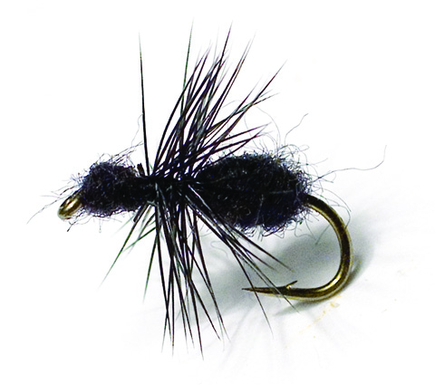 Black Ant Black TMC 100 #16 in der Gruppe Köder / Fliegen / Trockenfliegen bei Sportfiskeprylar.se (FL44021)