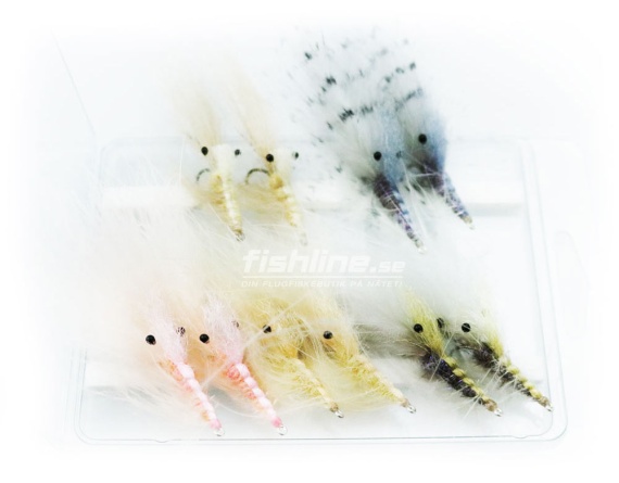 FLy Assorment Pattegrisen Edition 10pcs in der Gruppe Köder / Fliegen / Tubenfliege bei Sportfiskeprylar.se (FL99103)