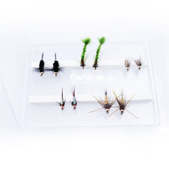 FLy Assorment Nymphs 10pcs in der Gruppe Köder / Fliegen / Tubenfliege bei Sportfiskeprylar.se (FL99105)