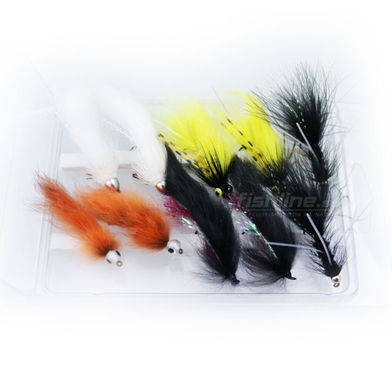 FLy Assorment Streamers 10pcs in der Gruppe Köder / Fliegen / Tubenfliege bei Sportfiskeprylar.se (FL99106)