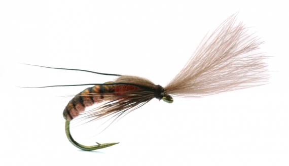 Super Emerging Caddis Cinnamon in der Gruppe Köder / Fliegen / Trockenfliegen bei Sportfiskeprylar.se (GL46157r)