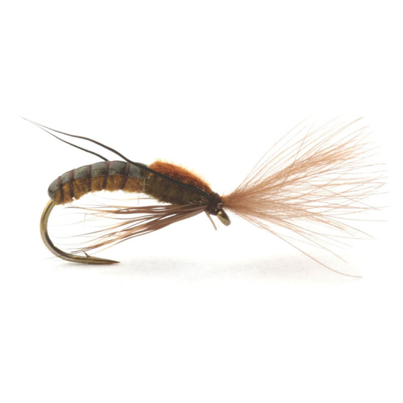 Super Emerging Caddis Brown Olive in der Gruppe Köder / Fliegen / Trockenfliegen bei Sportfiskeprylar.se (GL46166r)