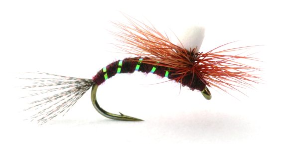 Ephemerella Klekker in der Gruppe Köder / Fliegen / Trockenfliegen bei Sportfiskeprylar.se (GL46169r)