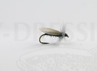Diptera size 18 in der Gruppe Köder / Fliegen / Trockenfliegen bei Sportfiskeprylar.se (HF1123-18)