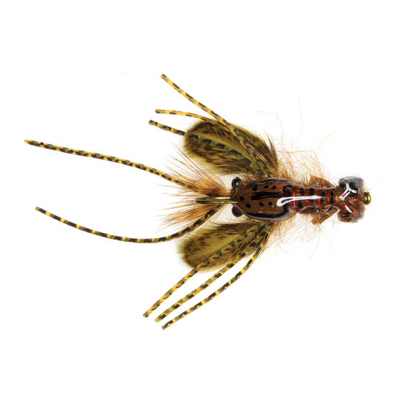 Umpqua Creek Crawler Olive #4 Hada\'s in der Gruppe Köder / Fliegen / Streamers bei Sportfiskeprylar.se (NFD9656-OL4)