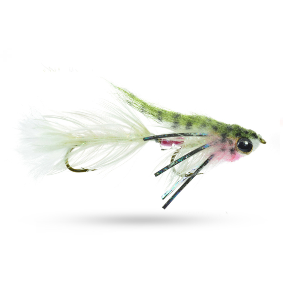 Umpqua Baby Gonga Rainbow #8 in der Gruppe Köder / Fliegen / Streamers bei Sportfiskeprylar.se (NFD9664-RB8)