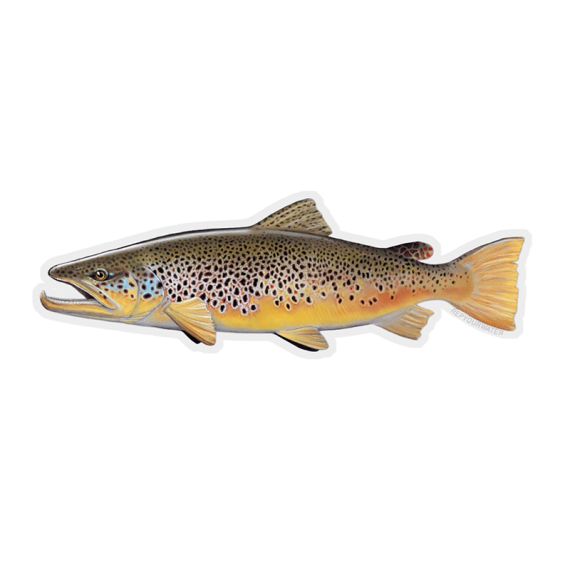 RepYourWater Sticker - Brown Trout in der Gruppe Sonstiges / Aufkleber & Dekale bei Sportfiskeprylar.se (NFD9717)