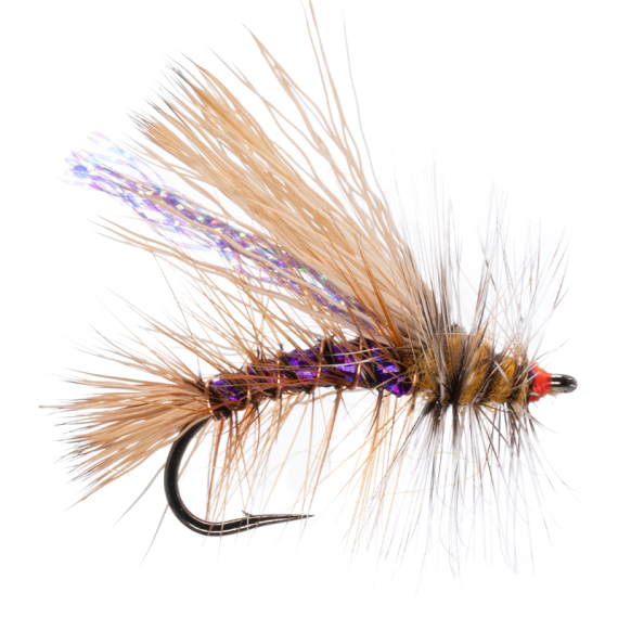 Umpqua Naked Stimulator Kaufmann Purple - #10 in der Gruppe Köder / Fliegen / Trockenfliegen bei Sportfiskeprylar.se (NFD9827--Purple)