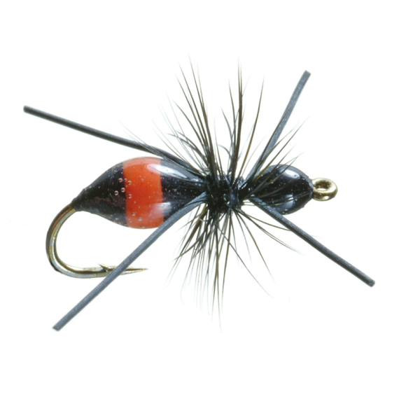 Umpqua Attract-Ant Black/Red - #16 in der Gruppe Köder / Fliegen / Trockenfliegen bei Sportfiskeprylar.se (NFD9861-16)