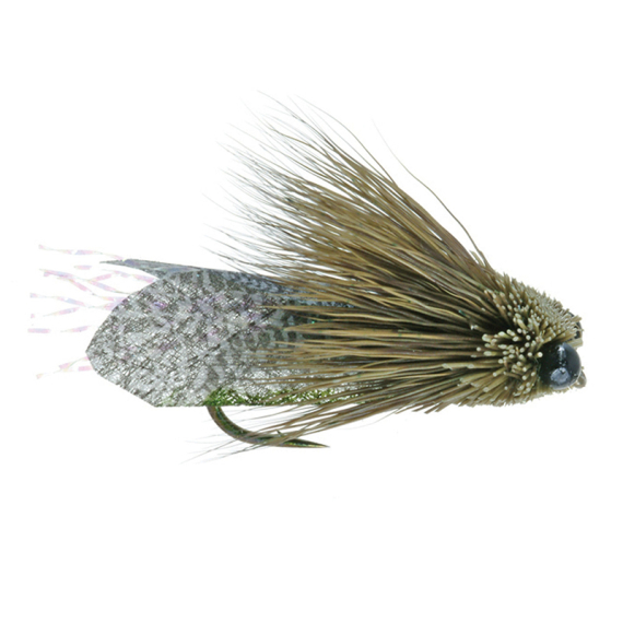 Umpqua Clark\'s Cicada Olive - #10 in der Gruppe Köder / Fliegen / Trockenfliegen bei Sportfiskeprylar.se (NFD9865-10)