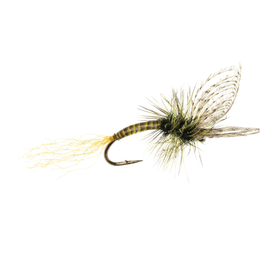 Umpqua Maldos PMD Emerger Maldonado in der Gruppe Köder / Fliegen / Trockenfliegen bei Sportfiskeprylar.se (NFD9870-16r)