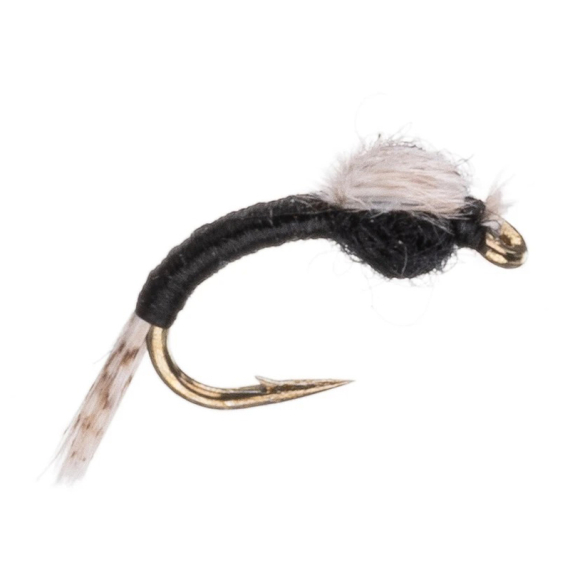 Umpqua WD 40 Black in der Gruppe Köder / Fliegen / Nymphen bei Sportfiskeprylar.se (NFD9877-Black18r)