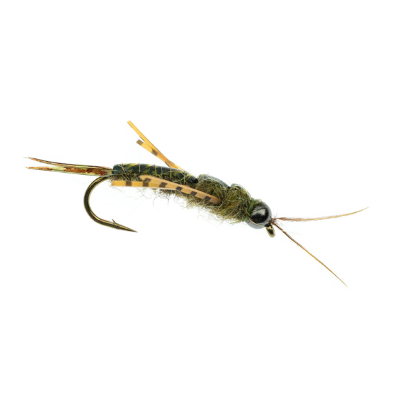 Umpqua Skwala Stone Tungsten Olive in der Gruppe Köder / Fliegen / Nassfliegen bei Sportfiskeprylar.se (NFD9886-8r)