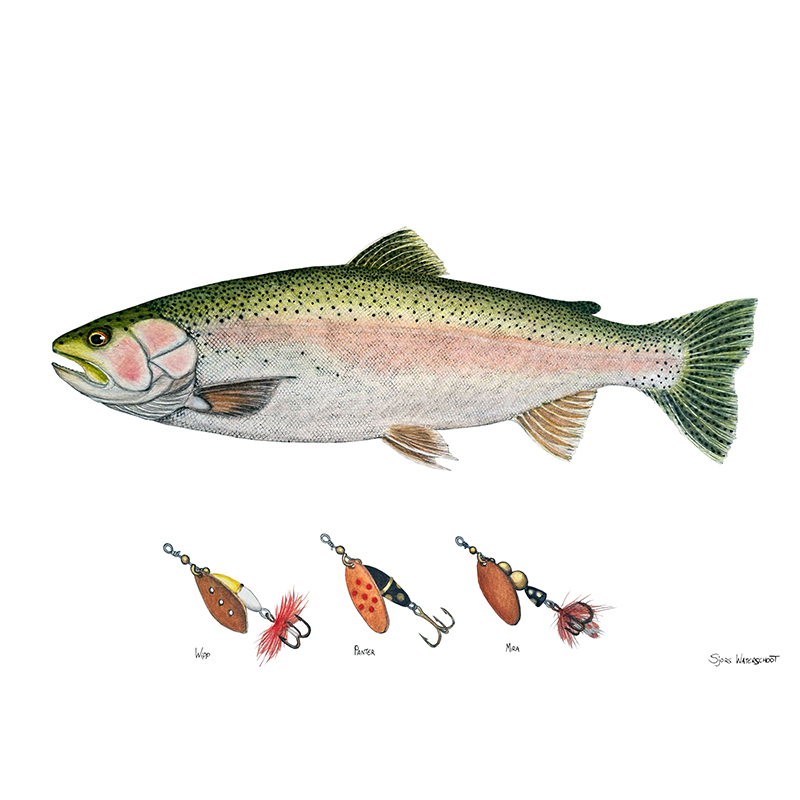 Myran Framed Rainbow Poster in der Gruppe bei Sportfiskeprylar.se (NFS50-7)