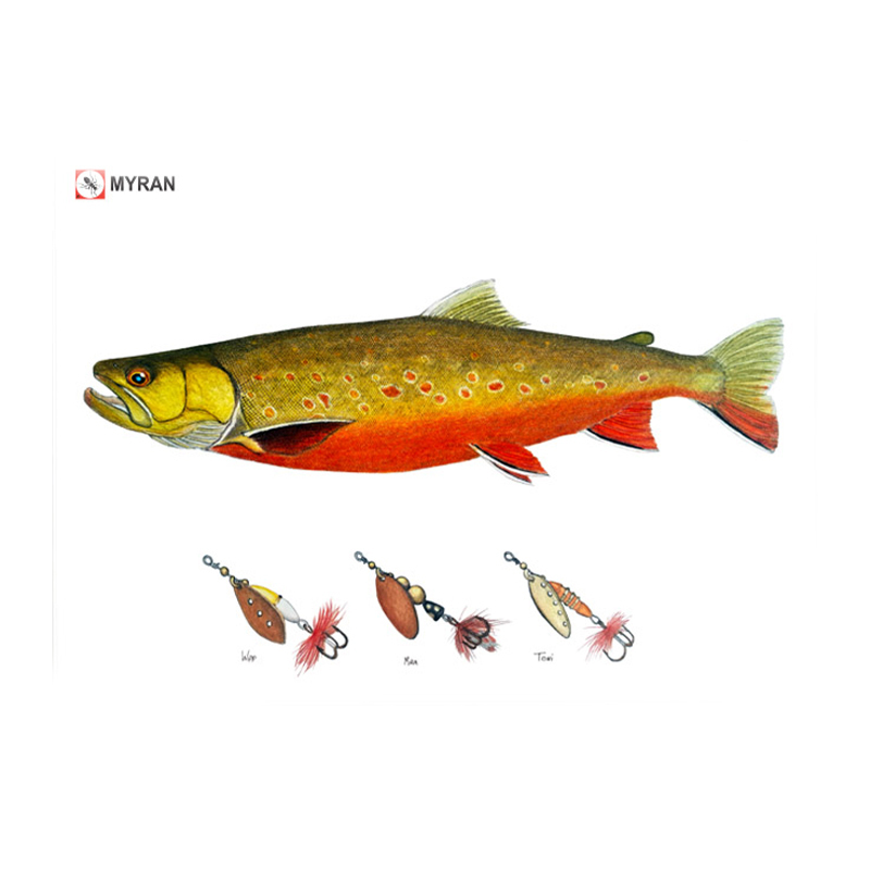 Myran Framed Arctic Char Poster in der Gruppe bei Sportfiskeprylar.se (NFS50-8)
