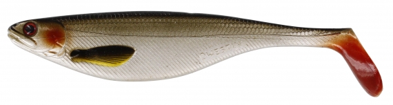 Westin ShadTeez 16cm 39g Lively Roach (bulk) in der Gruppe Köder / Gummiköder / Hecht Gummifische bei Sportfiskeprylar.se (P021-136-026)