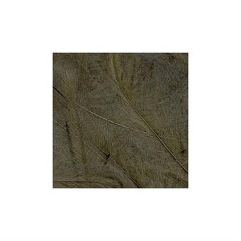 CDC Feathers 1 gr - Bistre in der Gruppe Haken & Zubehör / Fliegenbinden / Fliegenbindematerial / Feder & Bälge / CDC bei Sportfiskeprylar.se (PE-1GR16)