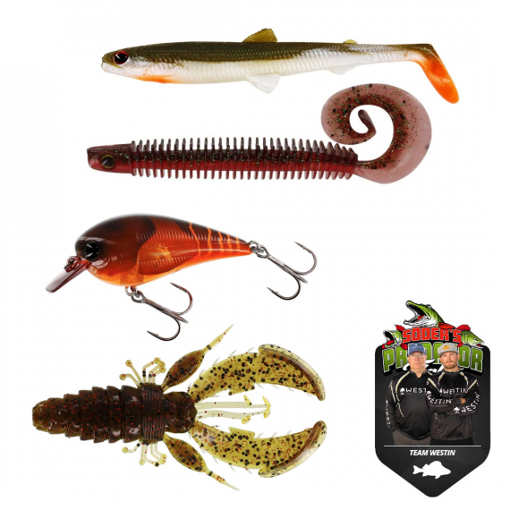 Team Westin PredatorFight Bait Kit Perch in der Gruppe Köder / Köder Sets / Köder Sets Barsch bei Sportfiskeprylar.se (PF20TWESTINABBORRE1)