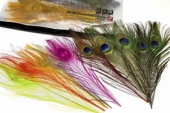 Frödin Peacock Feather Pack in der Gruppe Haken & Zubehör / Fliegenbinden / Fliegenbindematerial / Feder & Bälge / Sonstige Federn bei Sportfiskeprylar.se (PFP-1)