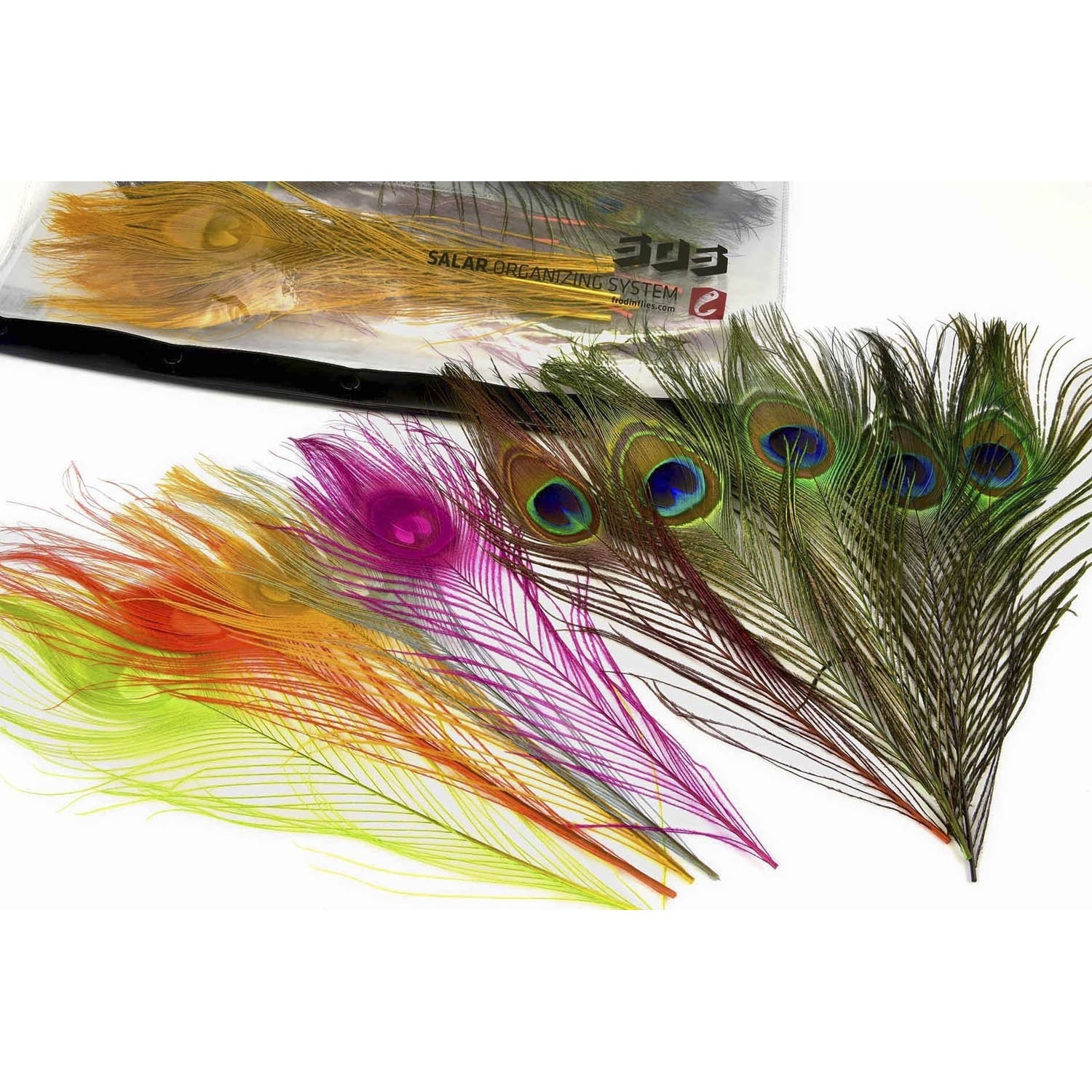 Frödin Peacock Feather Pack in der Gruppe Haken & Zubehör / Fliegenbinden / Fliegenbindematerial / Feder & Bälge / Sonstige Federn bei Sportfiskeprylar.se (PFP-1)
