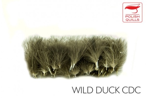 Polish Quill Wild Duck CDC in der Gruppe Haken & Zubehör / Fliegenbinden / Fliegenbindematerial / Feder & Bälge / Sonstige Federn bei Sportfiskeprylar.se (PQ-WDCDC)