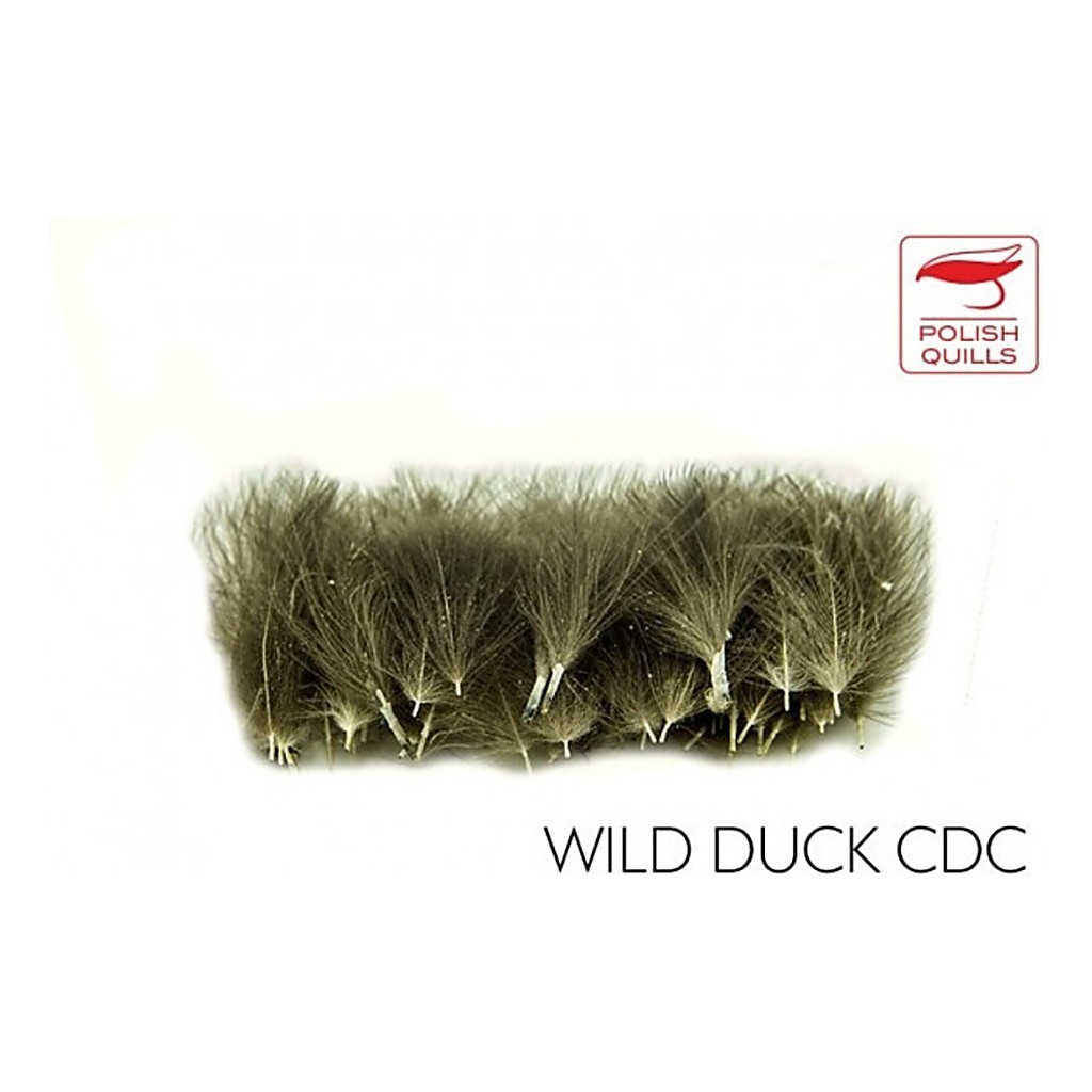Polish Quill Wild Duck CDC in der Gruppe Haken & Zubehör / Fliegenbinden / Fliegenbindematerial / Feder & Bälge / Sonstige Federn bei Sportfiskeprylar.se (PQ-WDCDC)