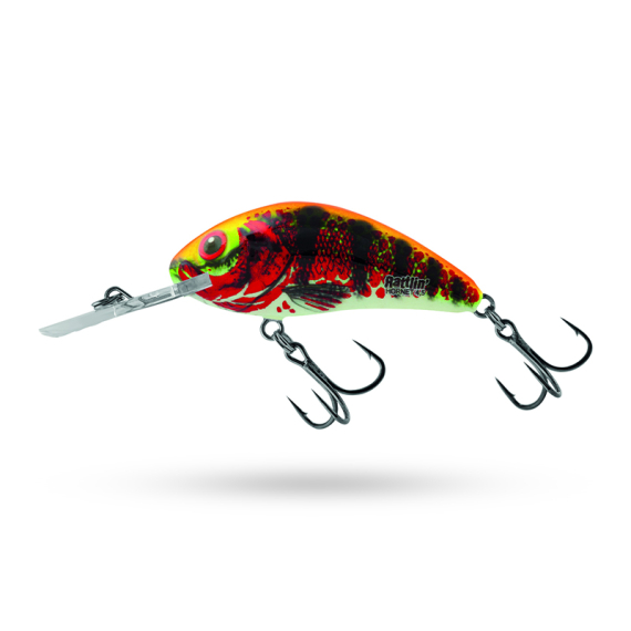 Salmo Rattlin\' Hornet 5.5cm - Holo Red Perch in der Gruppe Köder / Wobbler / Tieflaufende Wobbler bei Sportfiskeprylar.se (QRH517)