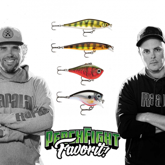 Team Rapala PerchFight Favoriter Hårdbete in der Gruppe Köder / Wobbler bei Sportfiskeprylar.se (R-PFF2)