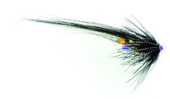 Frödin Samurai Series - Zebra in der Gruppe Köder / Fliegen / Lachsfliegen bei Sportfiskeprylar.se (SSZBr)