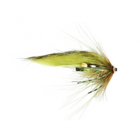 Frödin Sea Trout Spey - Olive Z Spey in der Gruppe Köder / Fliegen / Spinnfliege bei Sportfiskeprylar.se (STSOZ-03r)