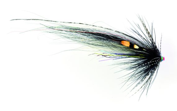 Frödin TTT Nobody Series - Zebra in der Gruppe Köder / Fliegen / Lachsfliegen bei Sportfiskeprylar.se (TSZBr)