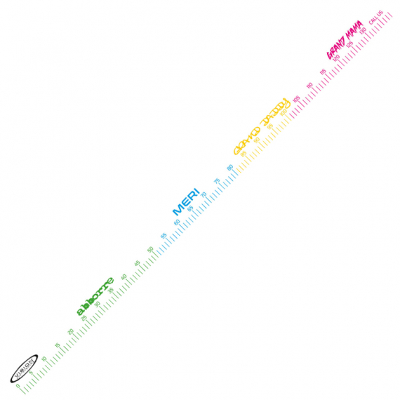 Vision Fish Measure Sticker in der Gruppe Sonstiges / Aufkleber & Dekale bei Sportfiskeprylar.se (VS10)