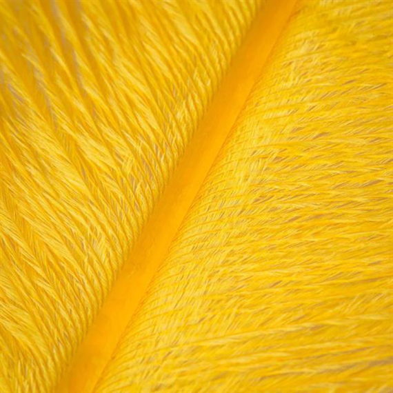 Struts plym - Yellow in der Gruppe Haken & Zubehör / Fliegenbinden / Fliegenbindematerial / Feder & Bälge / Sonstige Federn bei Sportfiskeprylar.se (W-OP006)