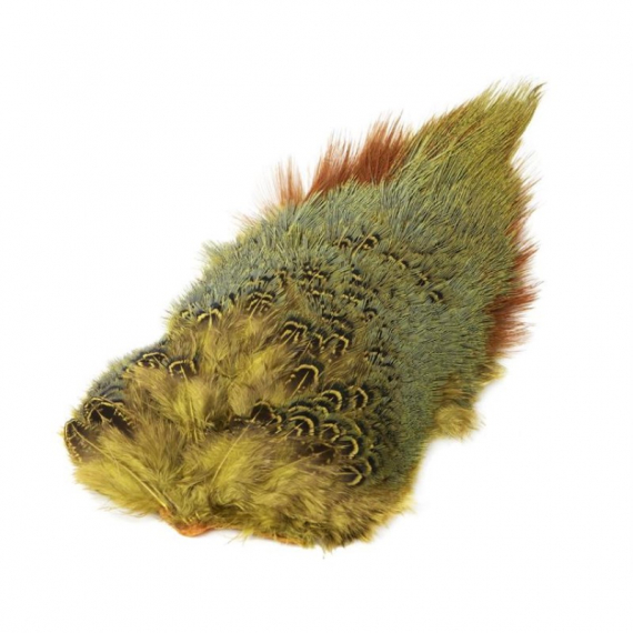 Ringneck Rump Patch in der Gruppe Haken & Zubehör / Fliegenbinden / Fliegenbindematerial / Feder & Bälge / Bälge & Sättel bei Sportfiskeprylar.se (W-PSR010r)