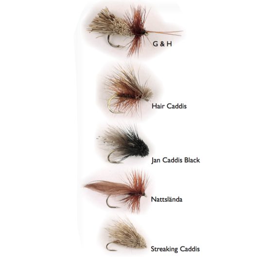 Dry Fly Sedges 5-pack in der Gruppe Köder / Fliegen / Trockenfliegen bei Sportfiskeprylar.se (WFB125)