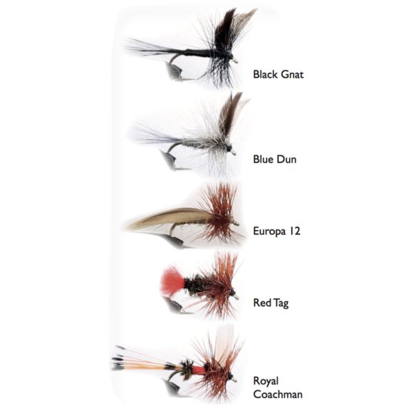Dry Fly 1 5-pack in der Gruppe Köder / Fliegen / Trockenfliegen bei Sportfiskeprylar.se (WFB143)