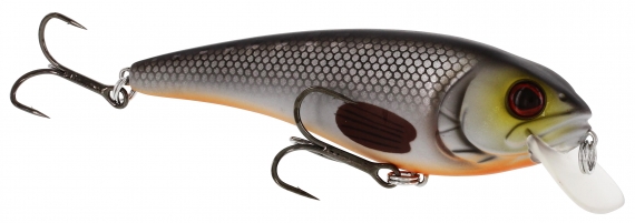 Westin RawBite 15cm 61g Low Floating in der Gruppe Köder / Wobbler / Flachlaufende Wobbler bei Sportfiskeprylar.se (WS14212r)