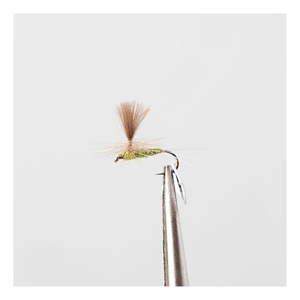 Olive Flash # 12 in der Gruppe Köder / Fliegen / Trockenfliegen bei Sportfiskeprylar.se (dano045)