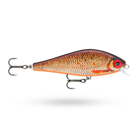 Live Redfin Shiner