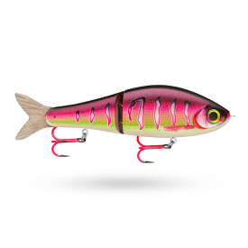 Pink Perch
