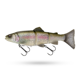 Clear Rainbow Trout