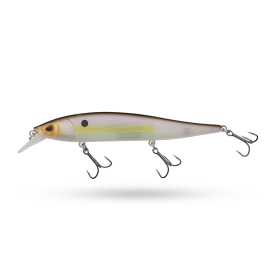 Sexy Shad
