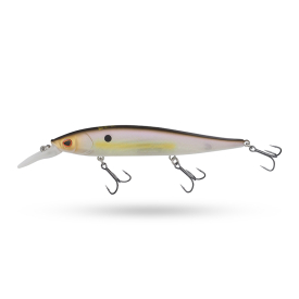 Sexy Shad