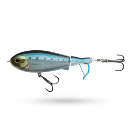 Sardine