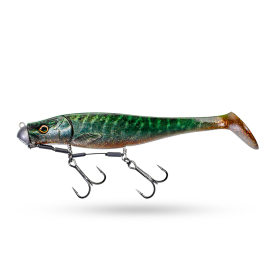 RS MP