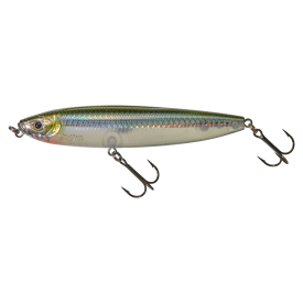 Hl Minnow