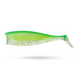 Carribean Shad